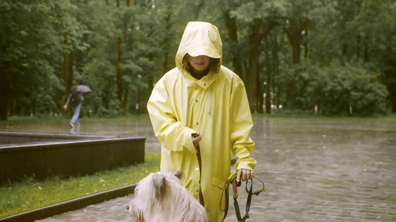 Pet owner with dog