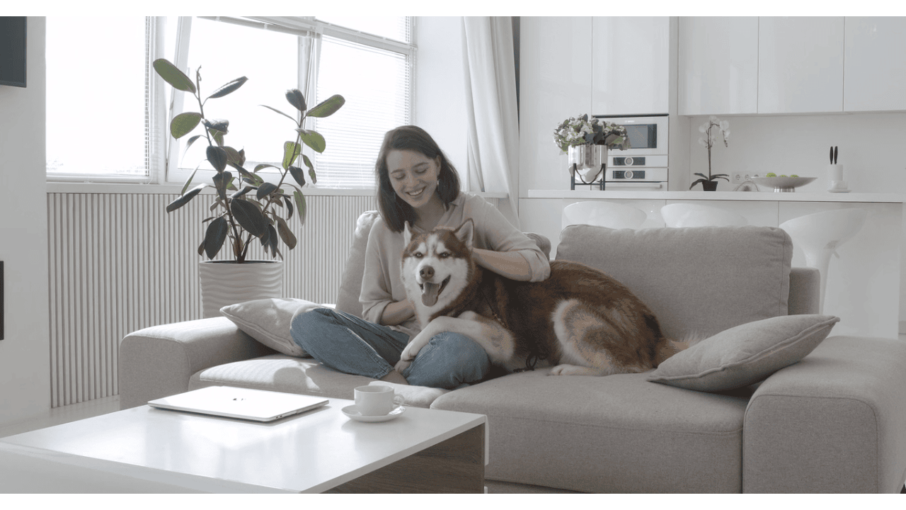 Pet owners are checking before they book. Are you verified?